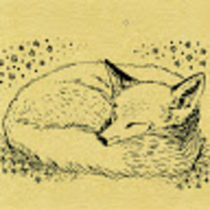 Meet your Posher, Krystal